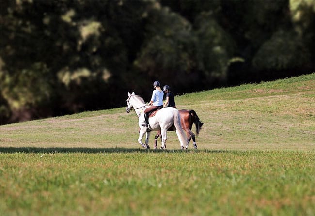 Overnight camping with horses