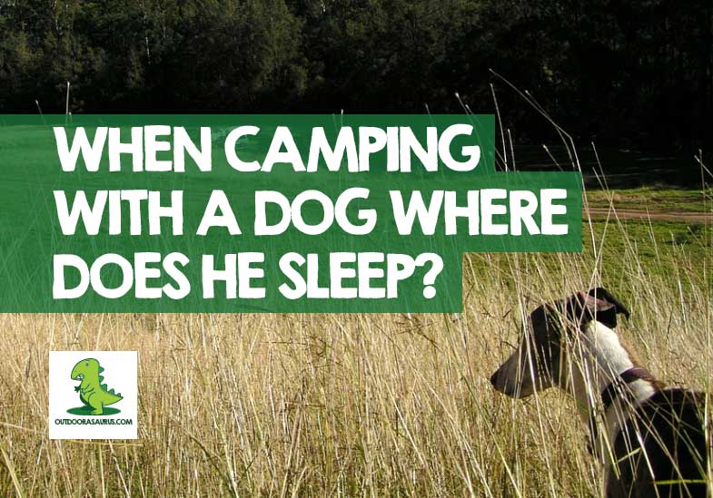 How do you tent camp with a dog