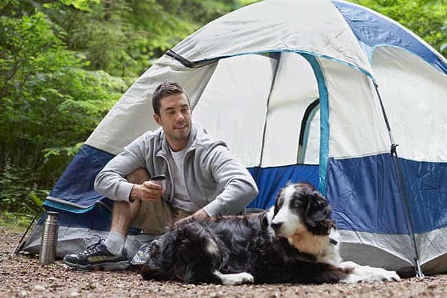How do you tent camp with a dog 