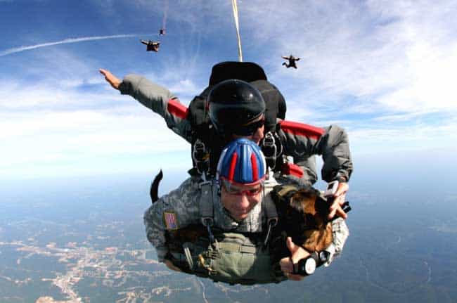 what are the chances of dying while skydiving