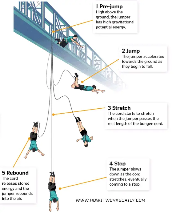 how does bungee jumping work