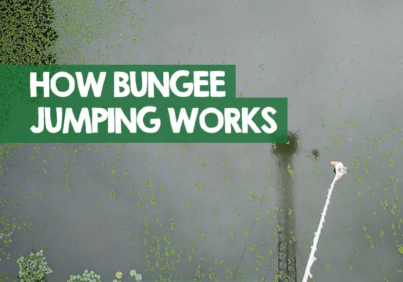 how a bungee jump works