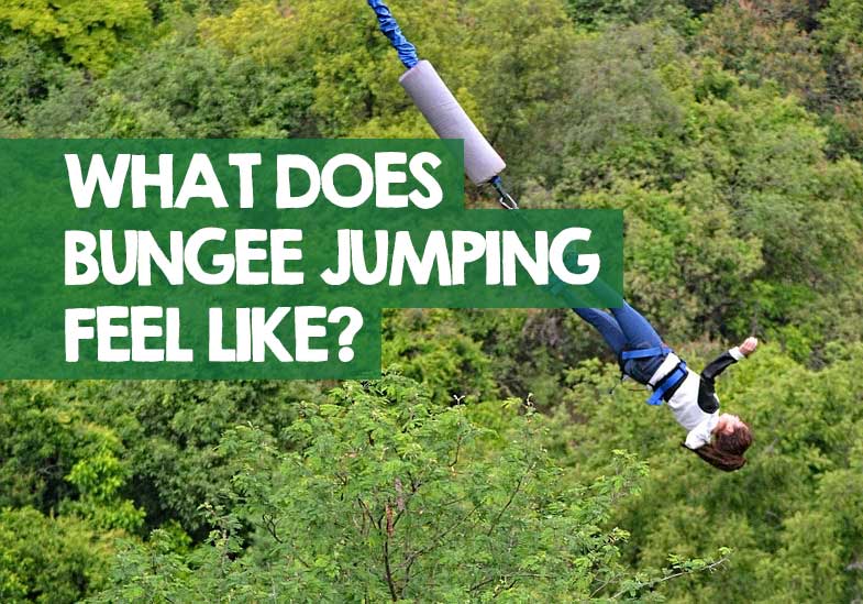 What Does Bungee Jumping Feel Like